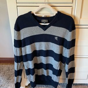 Express 100% cotton v neck sweater